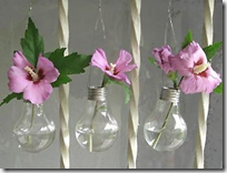 light bulbs / vases