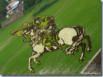 rice paddy crop art